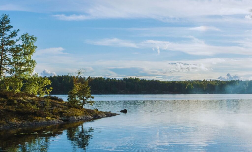Vy över en sjö och en tallbevuxen udde en solig sommardag