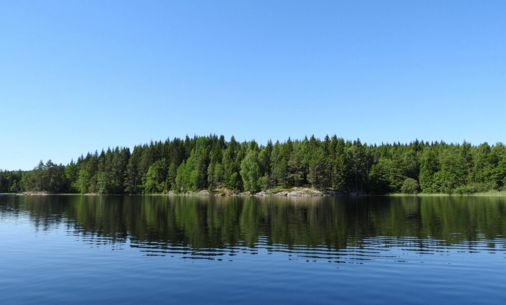 Spegelblank sjö med skog längs strandkanten