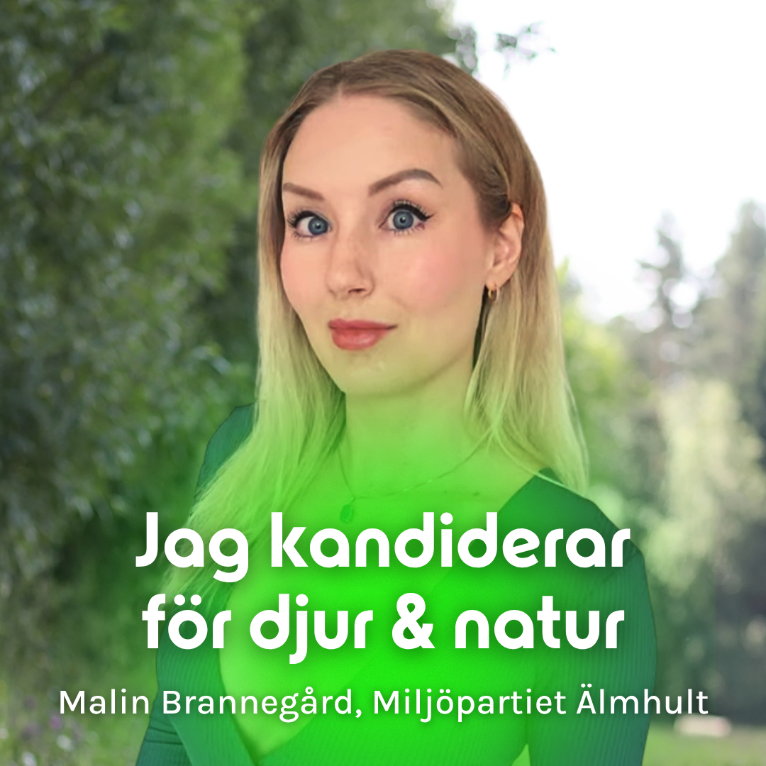 Porträtt av Malin Brännegård.