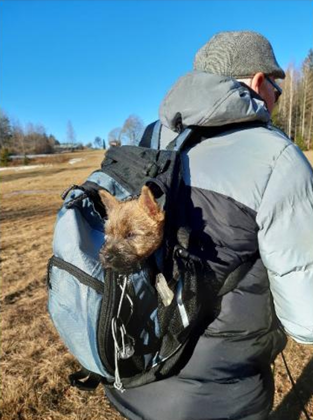 Man med hund i ryggsäck på promenad 