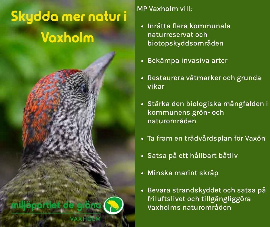 Skydda mer natur i Vaxholm