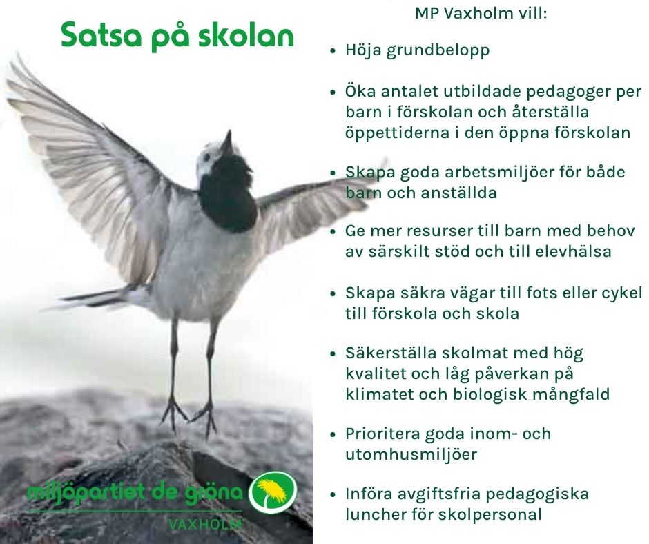 Satsa på skolan